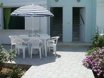 Sea Shell Daire