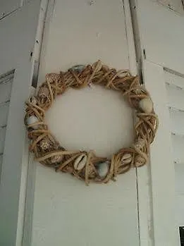 Sea Shell Daire *